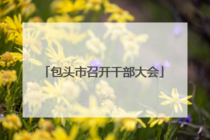 包头市召开干部大会