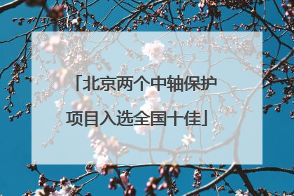 北京两个中轴保护项目入选全国十佳