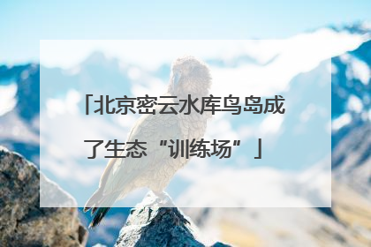 北京密云水库鸟岛成了生态“训练场”