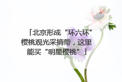 北京形成“环六环”樱桃观光采摘带，这里能买“明星樱桃”