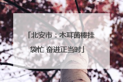北安市：木耳菌棒挂袋忙 奋进正当时