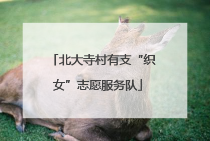 北大寺村有支“织女”志愿服务队