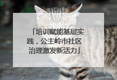 培训赋能基层实践，公主岭市社区治理激发新活力