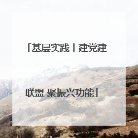 基层实践丨建党建联盟 聚振兴功能