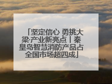 坚定信心 勇挑大梁·产业新亮点丨秦皇岛智慧消防产品占全国市场超四成