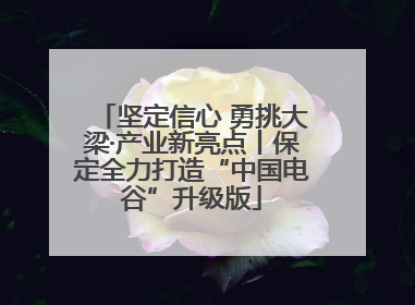 坚定信心 勇挑大梁·产业新亮点丨保定全力打造“中国电谷”升级版