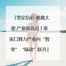 坚定信心 勇挑大梁·产业新亮点丨张家口算力产业向“智变”“绿动”跃升