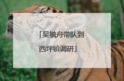 吴毓舟带队到西坪镇调研