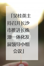 吴桂英主持召开长沙市推进长株潭一体化发展领导小组会议