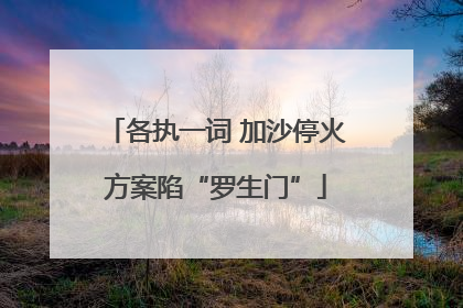 各执一词 加沙停火方案陷“罗生门”