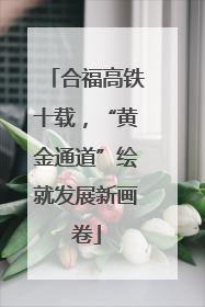 合福高铁十载，“黄金通道”绘就发展新画卷