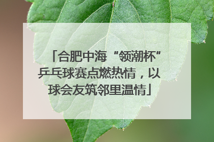 合肥中海“领潮杯”乒乓球赛点燃热情，以球会友筑邻里温情