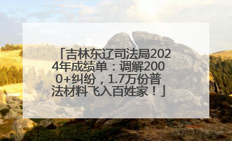吉林东辽司法局2024年成绩单：调解2000+纠纷，1.7万份普法材料飞入百姓家！