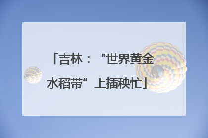 吉林：“世界黄金水稻带”上插秧忙