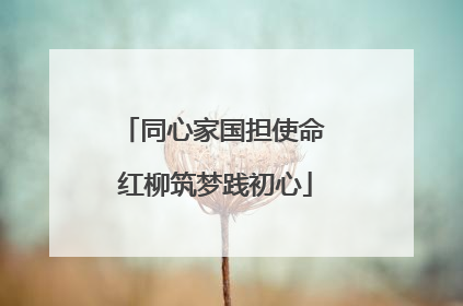 同心家国担使命 红柳筑梦践初心