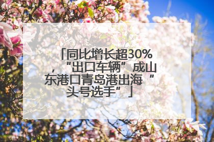 同比增长超30%，“出口车辆”成山东港口青岛港出海“头号选手”
