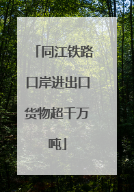 同江铁路口岸进出口货物超千万吨