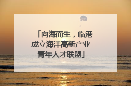 向海而生，临港成立海洋高新产业青年人才联盟
