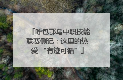 呼包鄂乌中职技能联赛侧记：这里的热爱 “有迹可循”