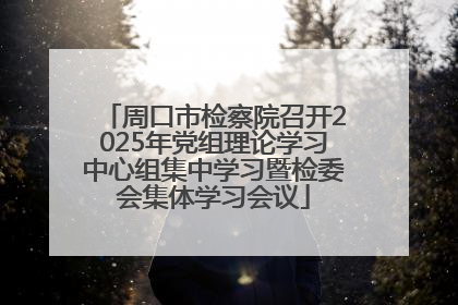 周口市检察院召开2025年党组理论学习中心组集中学习暨检委会集体学习会议
