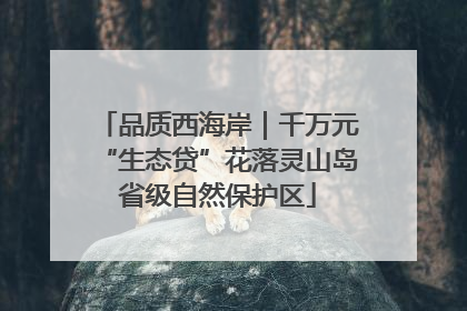 品质西海岸｜千万元“生态贷”花落灵山岛省级自然保护区