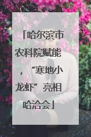 哈尔滨市农科院赋能，“寒地小龙虾”亮相哈洽会