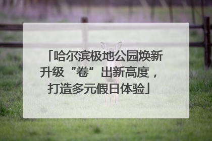 哈尔滨极地公园焕新升级“卷”出新高度，打造多元假日体验
