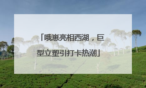 哦崽亮相西湖，巨型立塑引打卡热潮