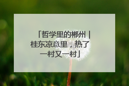 哲学里的郴州｜桂东凉意里，热了一村又一村