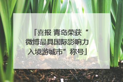 喜报 青岛荣获“微博最具国际影响力入境游城市”称号