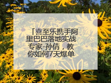 喜至乐携手阿里巴巴落地实战专家-孙倩，教你如何7天爆单逆袭跨境电商