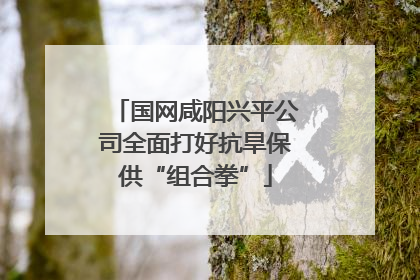 国网咸阳兴平公司全面打好抗旱保供“组合拳”