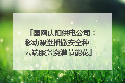 国网庆阳供电公司：移动课堂播撒安全种 云端服务浇灌节能花