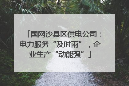 国网沙县区供电公司：电力服务“及时雨”，企业生产“动能强”
