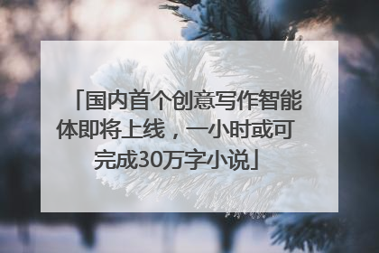 国内首个创意写作智能体即将上线，一小时或可完成30万字小说