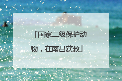 国家二级保护动物，在南昌获救