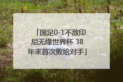 国足0-1不敌印尼无缘世界杯 38年来首次败给对手