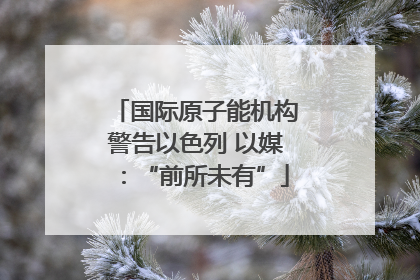 国际原子能机构警告以色列 以媒：“前所未有”