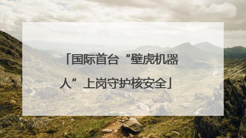 国际首台“壁虎机器人”上岗守护核安全