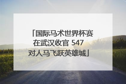 国际马术世界杯赛在武汉收官 547对人马飞跃英雄城