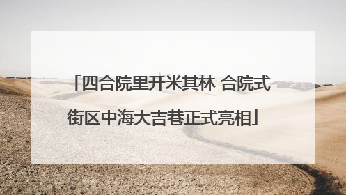 四合院里开米其林 合院式街区中海大吉巷正式亮相