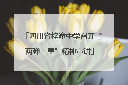 四川省梓潼中学召开“两弹一星”精神宣讲