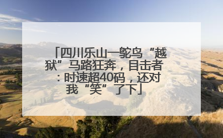 四川乐山一鸵鸟“越狱”马路狂奔，目击者：时速超40码，还对我“笑”了下