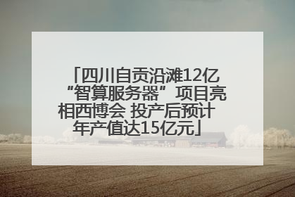 四川自贡沿滩12亿“智算服务器”项目亮相西博会 投产后预计年产值达15亿元