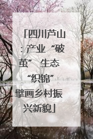 四川芦山：产业“破茧” 生态“织锦” 擘画乡村振兴新貌