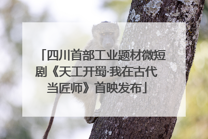四川首部工业题材微短剧《天工开蜀·我在古代当匠师》首映发布