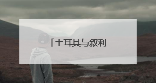 土耳其与叙利亚本月中旬起运营更多直航