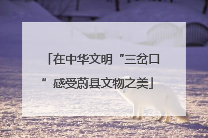 在中华文明“三岔口”感受蔚县文物之美