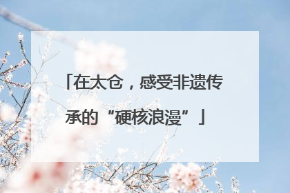 在太仓，感受非遗传承的“硬核浪漫”