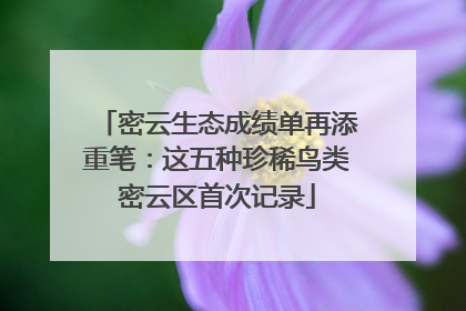 密云生态成绩单再添重笔：这五种珍稀鸟类密云区首次记录